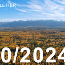 scenic landscape depicting blue sky and an expansive view of larch trees turning yellow in the fall in montana.